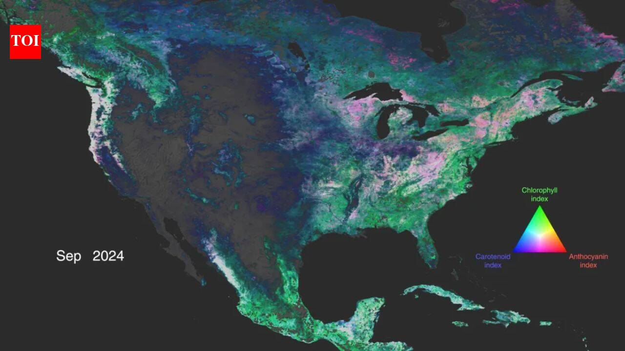 NASA’s PACE satellite can now track autumn colours from space by monitoring pigments inside leaves