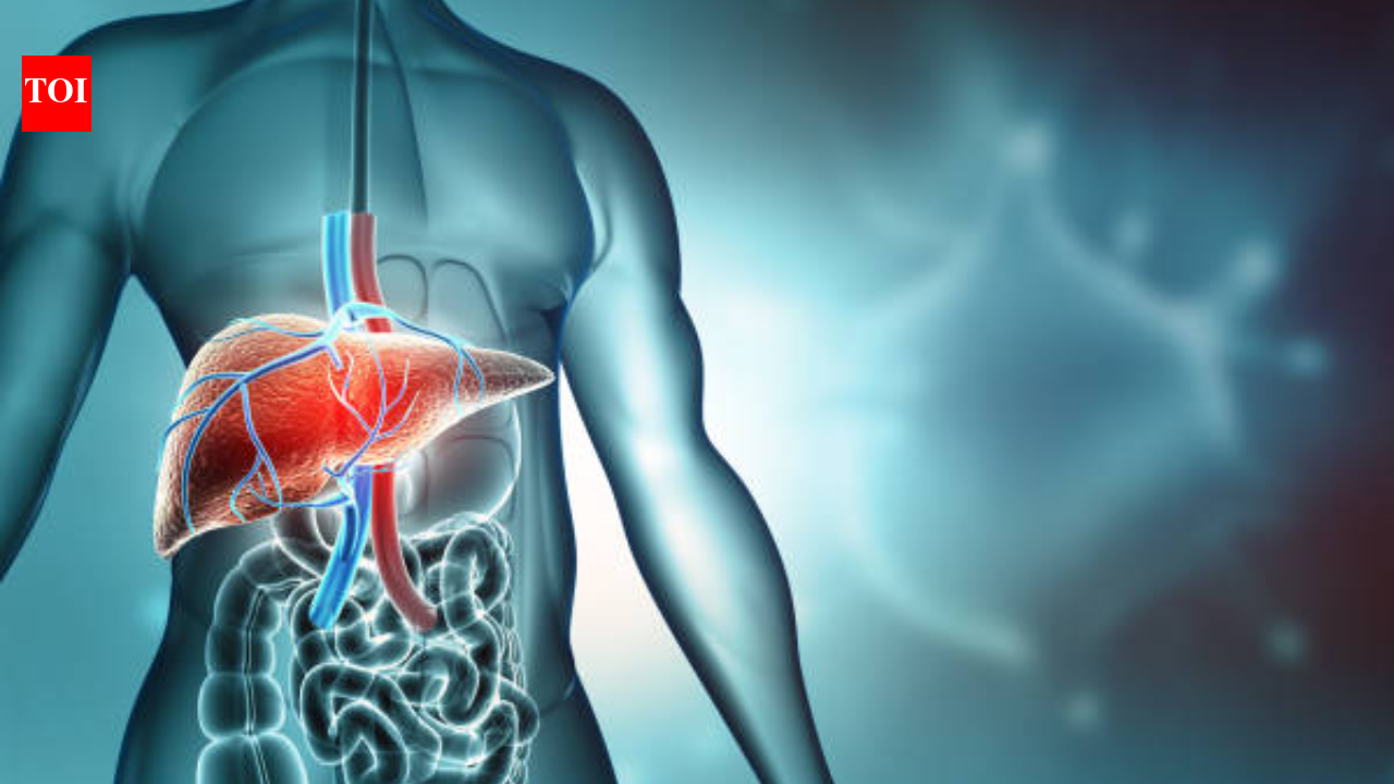 Liver disease myths debunked: Early detection and lifestyle changes crucial for reversal