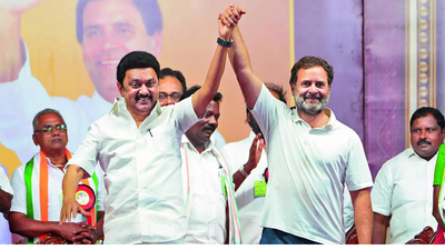'Until we win': Rahul's 'together' outreach in reply to Stalin's formal birthday wish