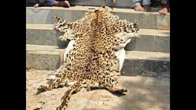 Police plea to wildlife crime cell to probe 2 cases