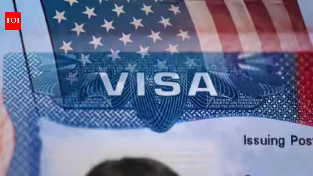 People get shocked when I tell them about OPT: Florida senator moves to end pathway to H-1B
