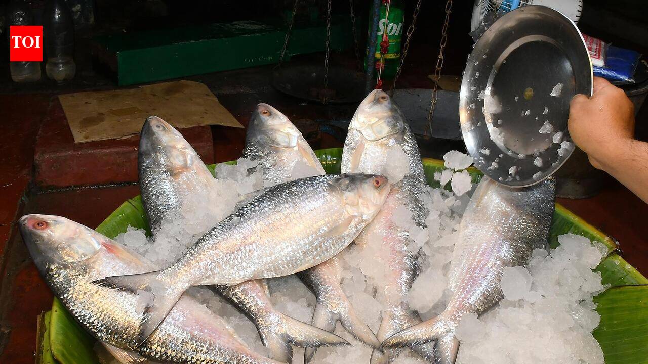 Jamai Sasthi: Fish shortage sends prices soaring