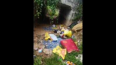 Minister orders criminal charges against those dumping waste into rural waterbodies