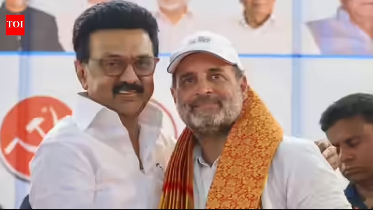 'Fight together till we win': Rahul Gandhi thanks Stalin for his birthday greetings
