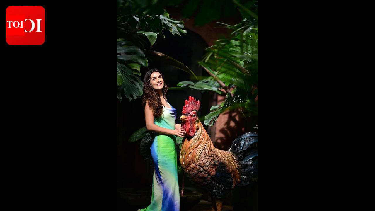 Watching Goa's sunset gives me happiness: Shiny Doshi