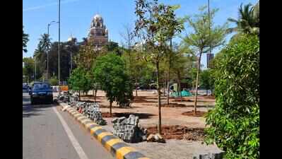 Calls for in-city replantation intensify as tree-cutting proposals for major Mumbai projects come up for sanction at BMC’s Tree Authority meeting