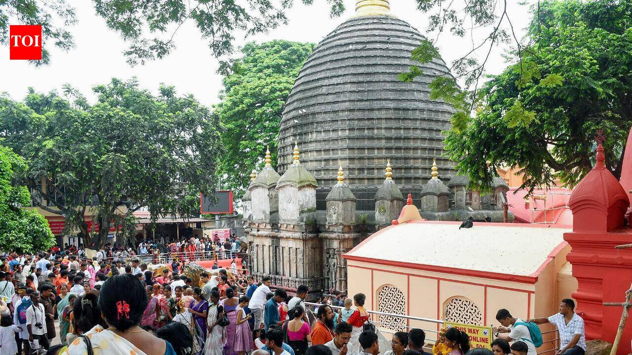 Social media popularity pulling larger crowds to Ambubachi
