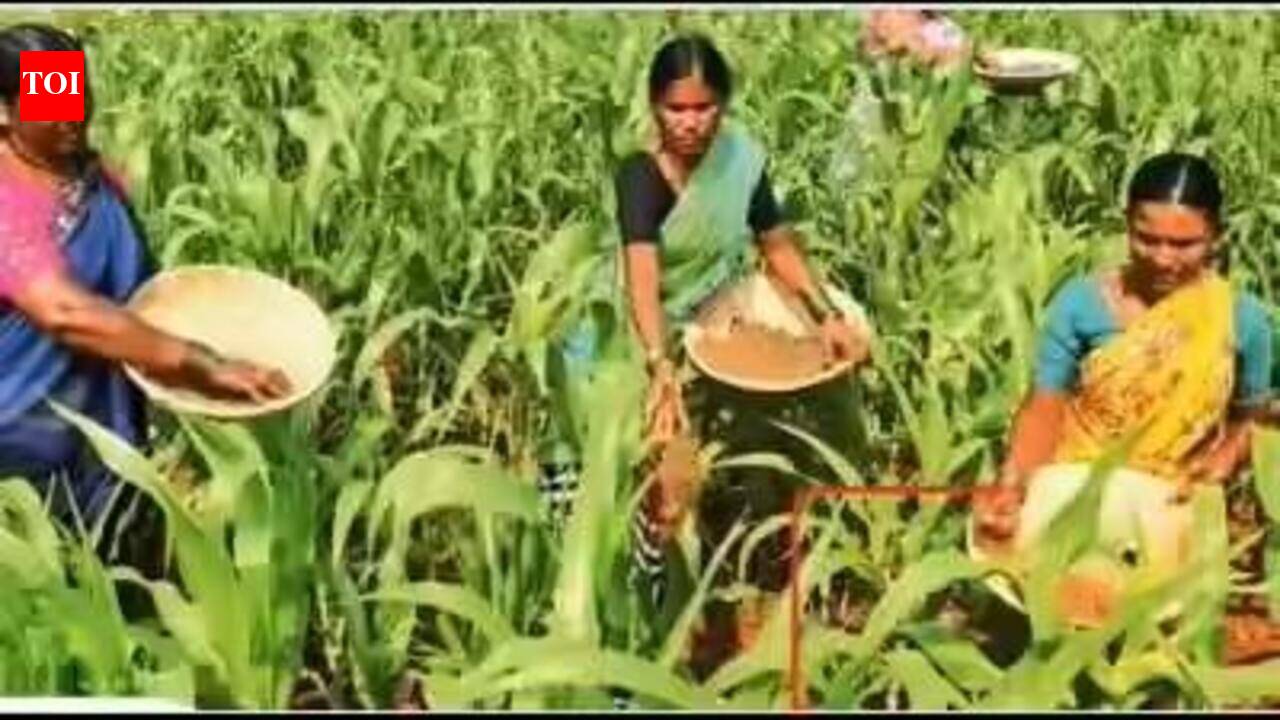 Maharashtra sets up three committees on farm waiver