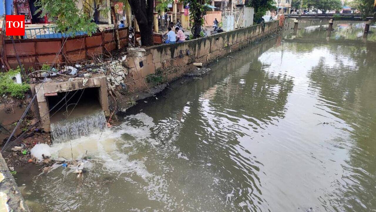 GCC, highways dept to build more bridges across Virugambakkam canal