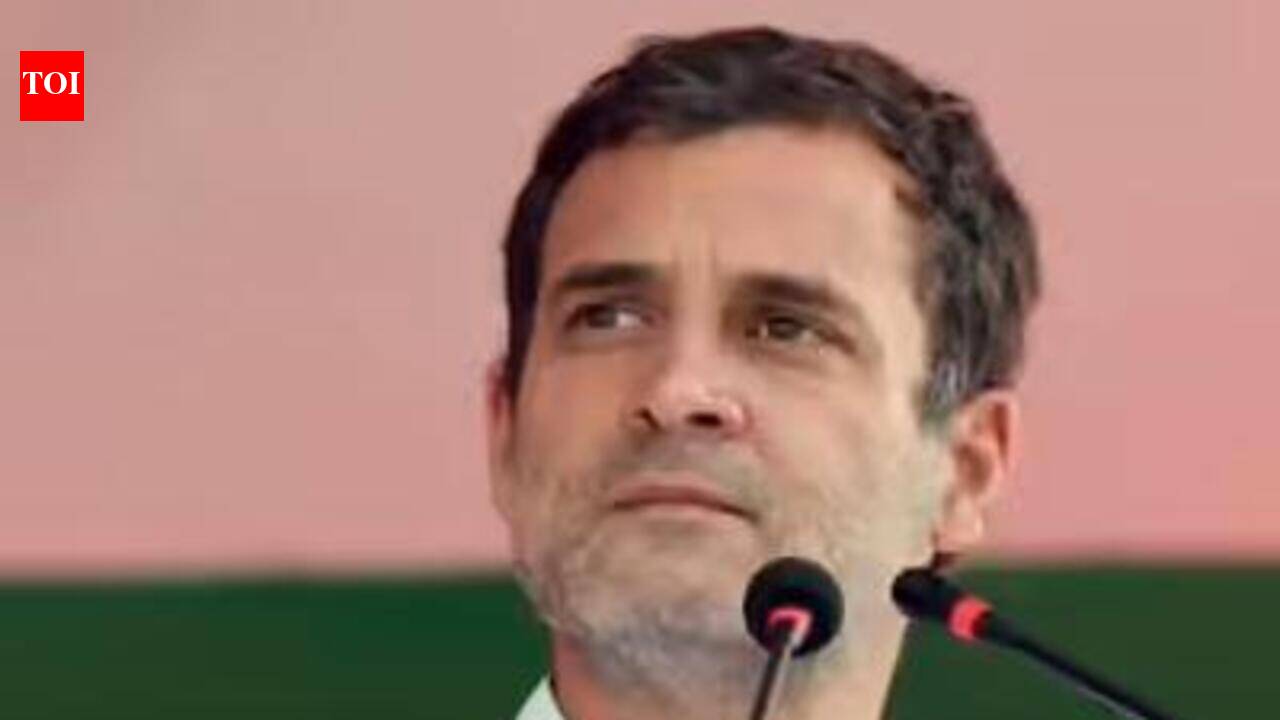 ‘Fight together till we win’: Rahul thanks Stalin as DMK-Congress trade barbs post-polls