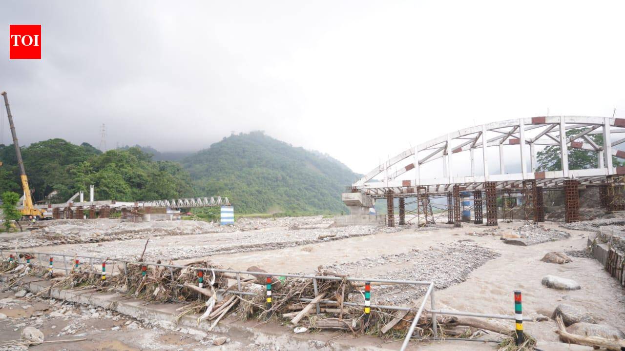 Rain washes away bridge in Mirik, boy dies in Alipurduar