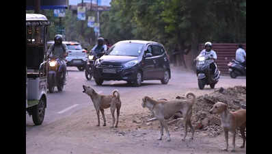 Animal bite treatment tops MMSY claims in govt hosps, dialysis leads overall utilisation
