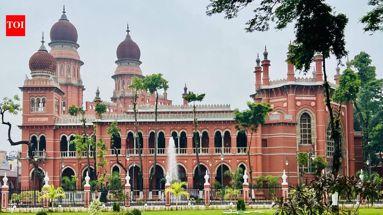 HC: Consider raising retirement age of univ teachers to 65 years