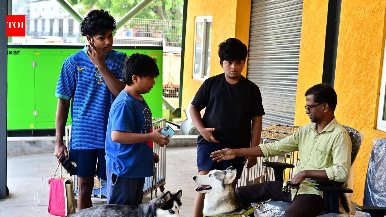 Over 13,000 pet dog licences yet to be renewed in Chennai