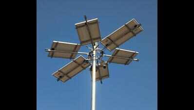 Forest dept dismantles Nalsarovar floodlights