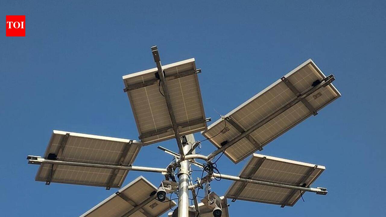 Forest dept dismantles Nalsarovar floodlights