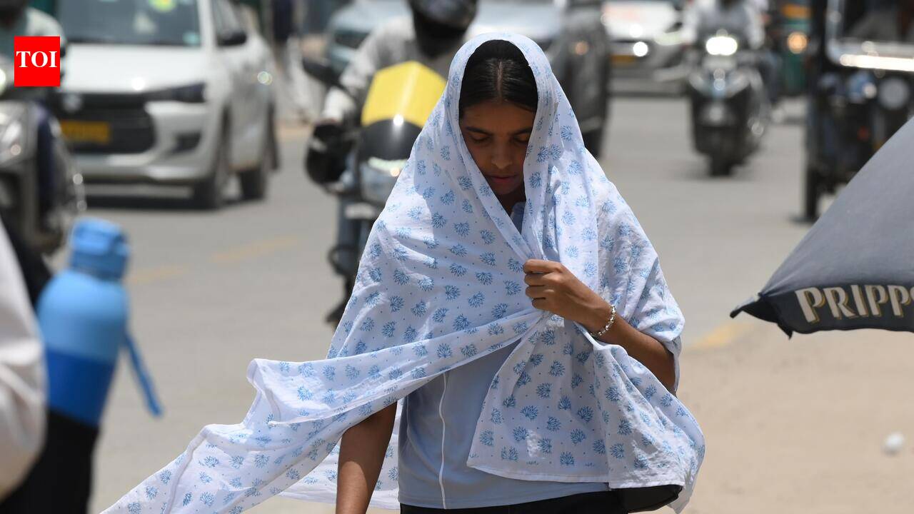 Maximum temperature remains above 35°C, but gusty winds likely to keep heat in check in Gurgaon