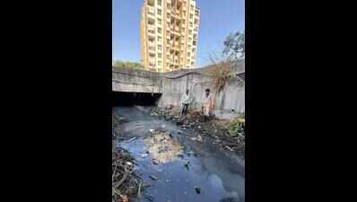 National Commission for Safai Karmacharis seeks probe into alleged manual nullah cleaning in Pimpri Chinchwad