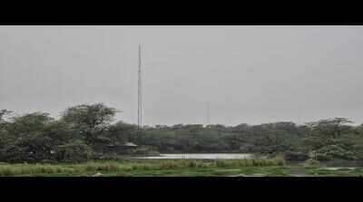 AI cams, drones to track bird migration & habitat changes at Sultanpur park