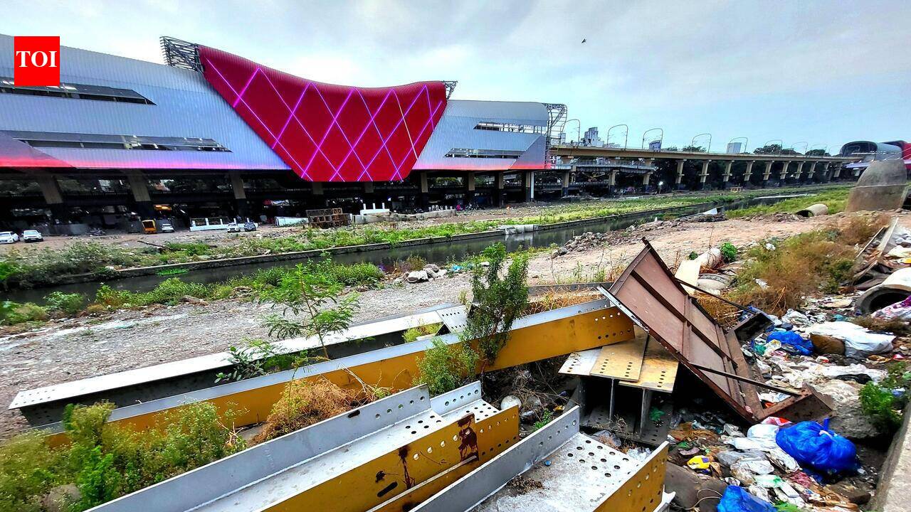 PMC fines over 1,000 violators in two years for illegal dumping