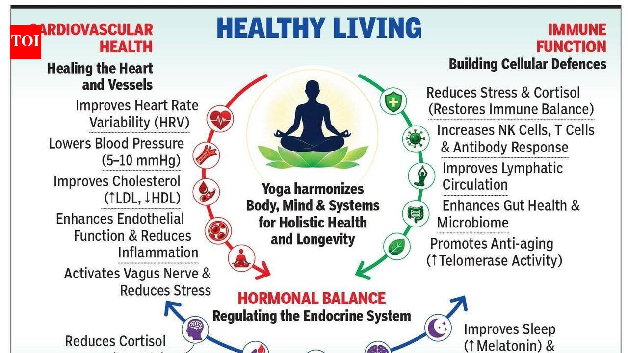 Yoga &amp; physiology: A deep dive into three critical systems