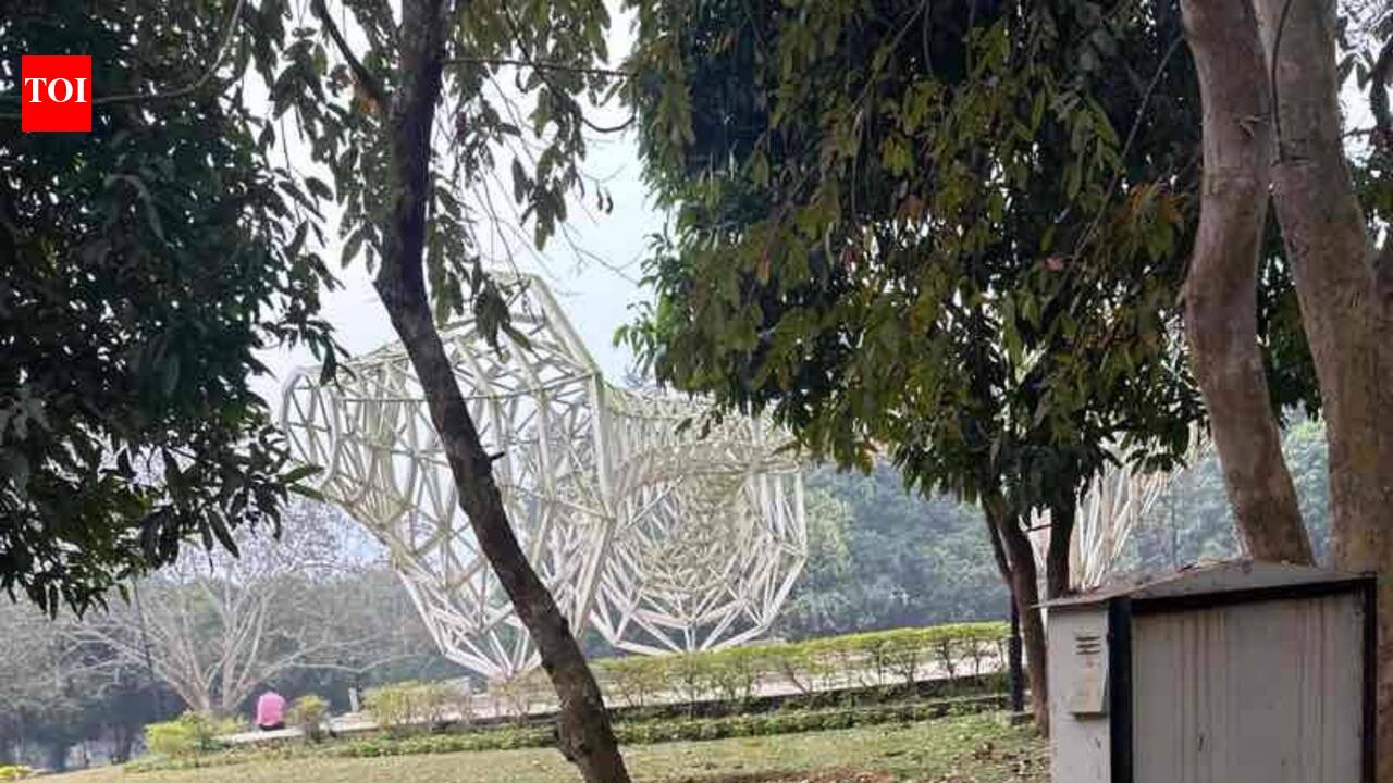 Forest department fines land owning agency Rs 15.3 lakh for tree damage