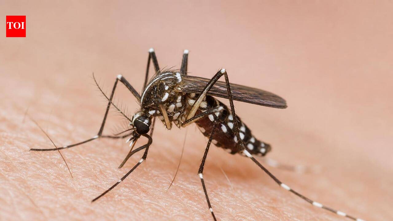 Mosquito-repellent ingestion leaves toddler critical; recovers after prolonged care