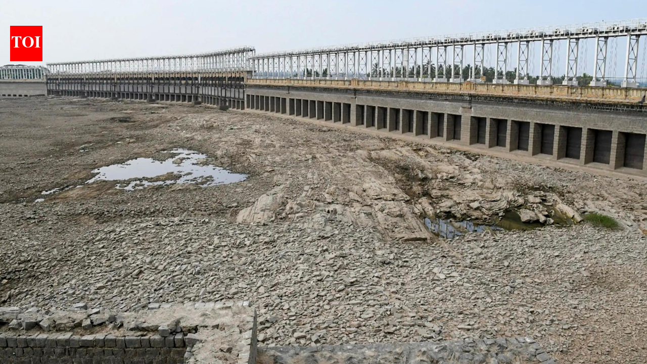 Water in 166 major reservoirs across country dips to 28% of storage capacity 