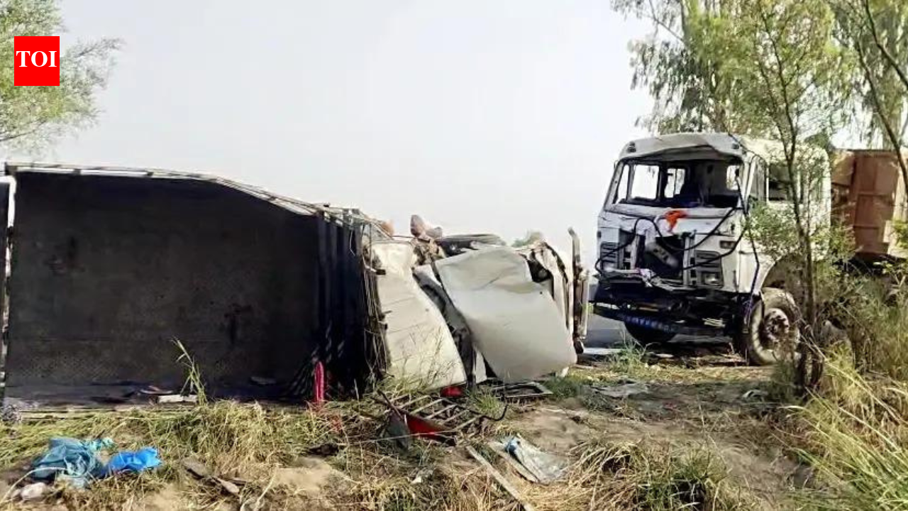 Average of 30,500 pedestrians killed on roads annually between 2019-24