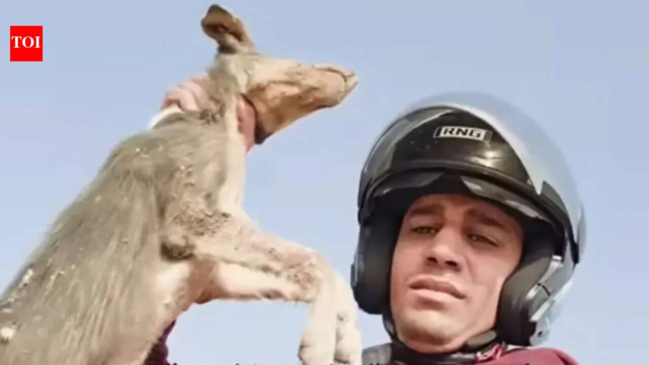 Who is Ayoub Ben Nesnes? Moroccan influencer arrested for skinning and eating a stray dog to protest against high meat prices