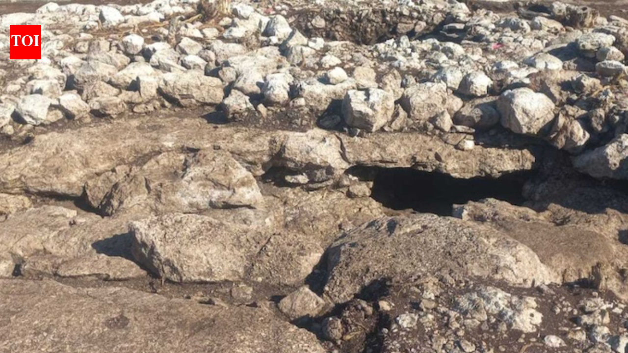 Archaeologists clearing land in Yucatan found Maya offerings buried beneath a ritual platform