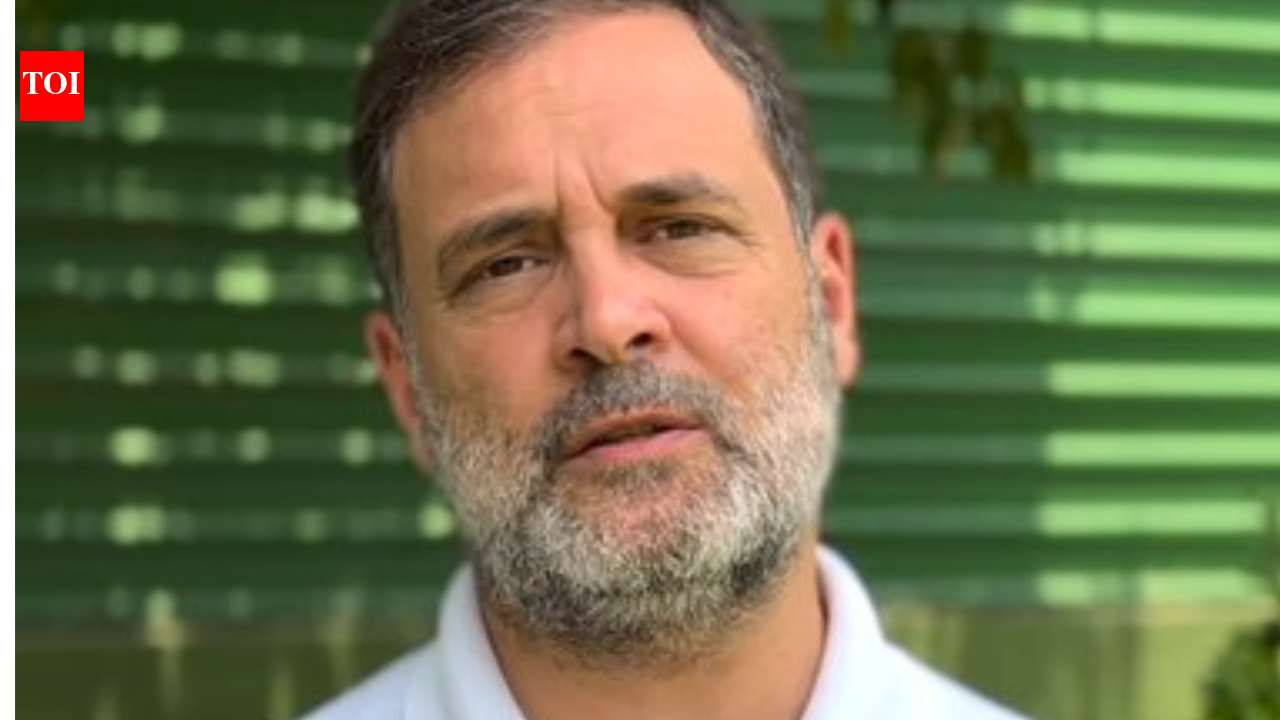 'Ensure there are no glitches, students been through enough stress': Rahul Gandhi to govt ahead of Sunday's NEET re-exam