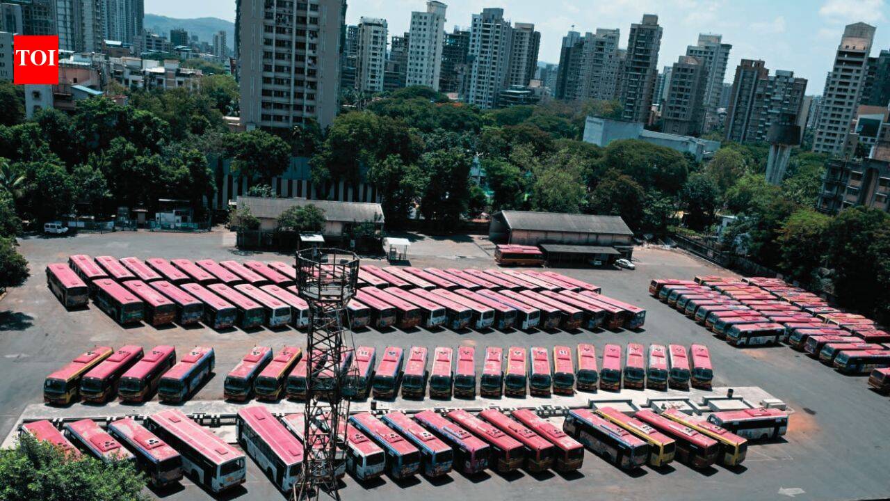 Mumbai commuters struggle for 2nd day as BEST strike hits bus services