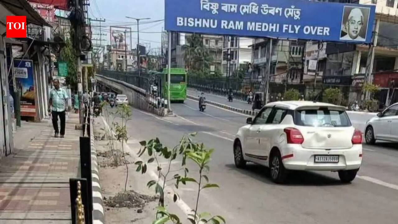 PWD digs roads to plant saplings to welcome Japan PM, irks residents