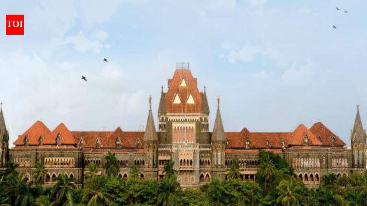 ‘Habit of making false complaints:’ Bombay high court quashes rape case by woman who had filed 4 such FIRs in past