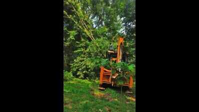 Volunteers replant uprooted trees at Rabindra Sarobar