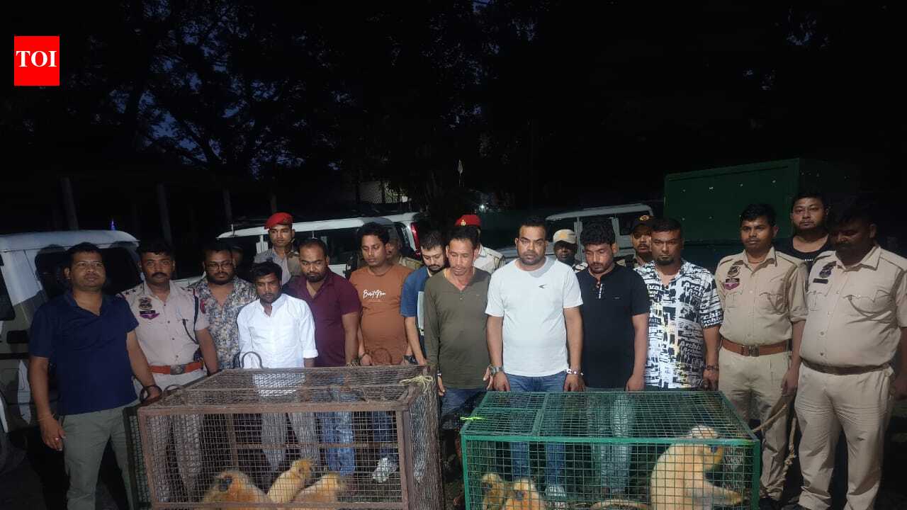 Cops foil trafficking bid; 9 held, 8 golden langurs rescued