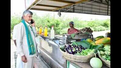 Rs 3,125 cr released to farmers under Annadata Sukhibhava scheme