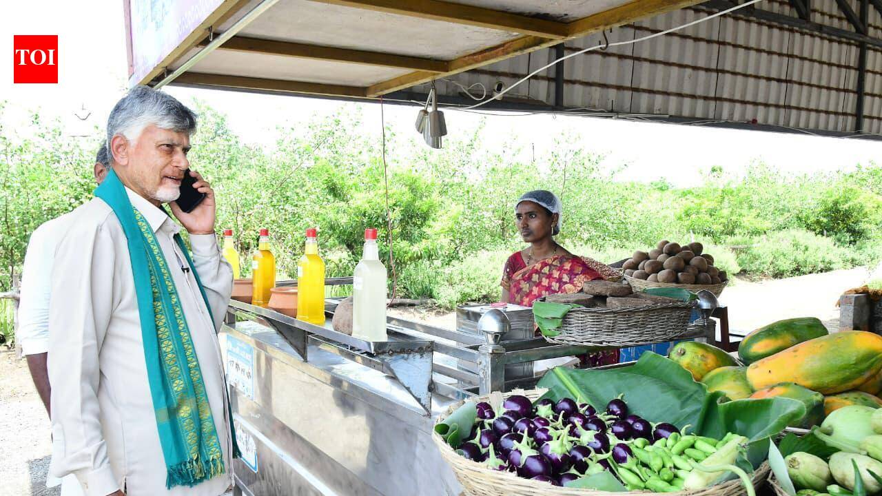 Rs 3,125 cr released to farmers under Annadata Sukhibhava scheme