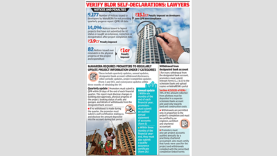 MahaRERA must use tech, AI to track, audit project compliance: Lawyers