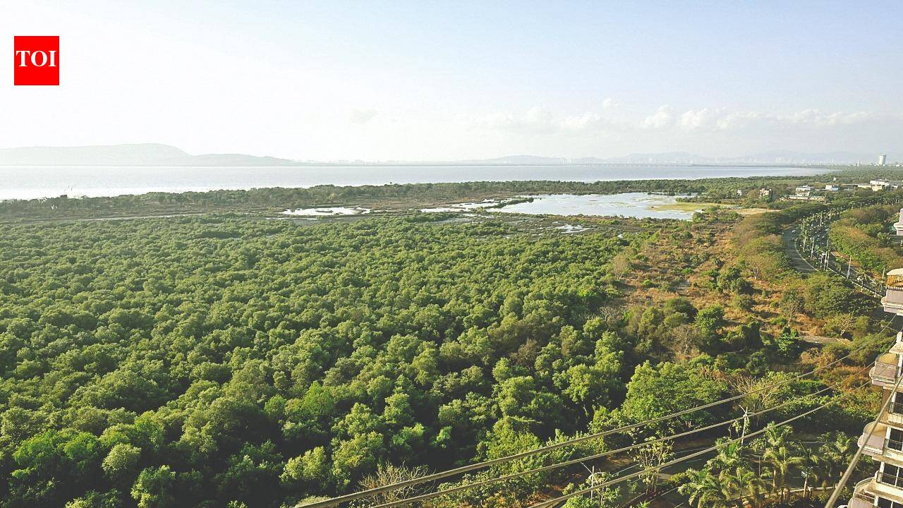 Forest report flags illegal structures at Charkop coastal road