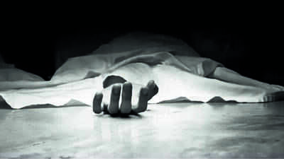 Engineering student, brother kill man after AI research in Siwan