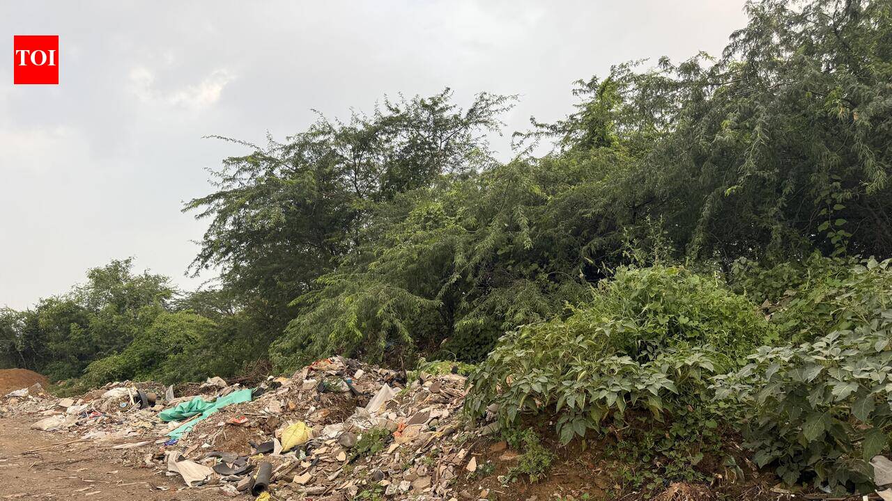 MCG plans new C&D waste plant by next Feb