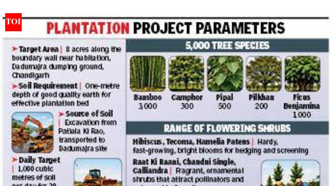 Dadumajra dump to get green makeover