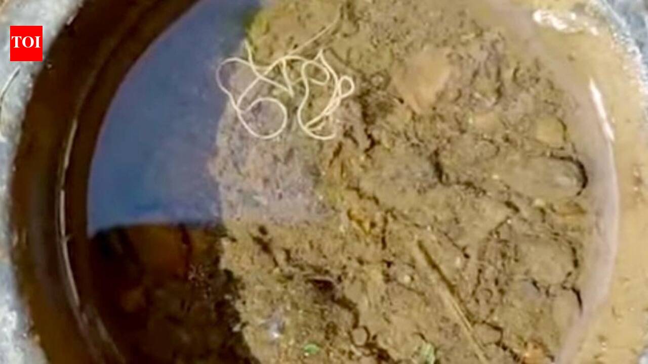 Third case of worm in water at Valpoi this month