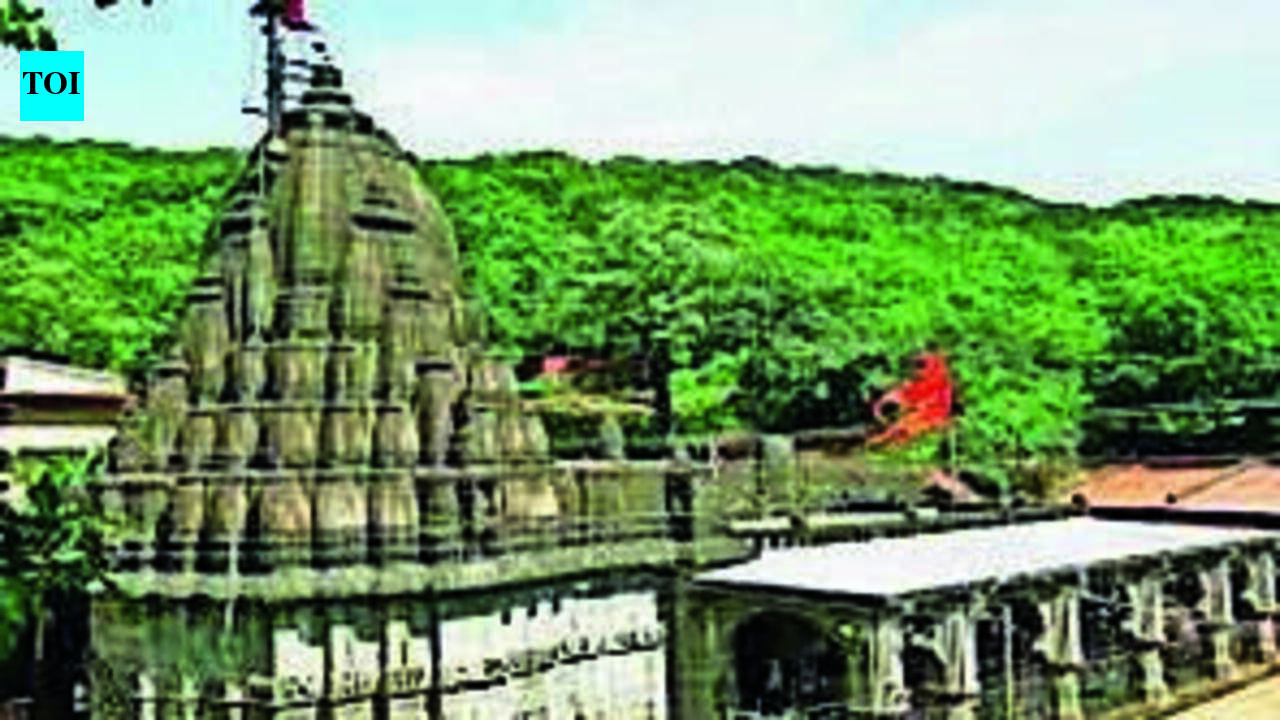 Free darshan facility resumes at Bhimashankar temple, rush raises crowd management concerns amid ongoing  works