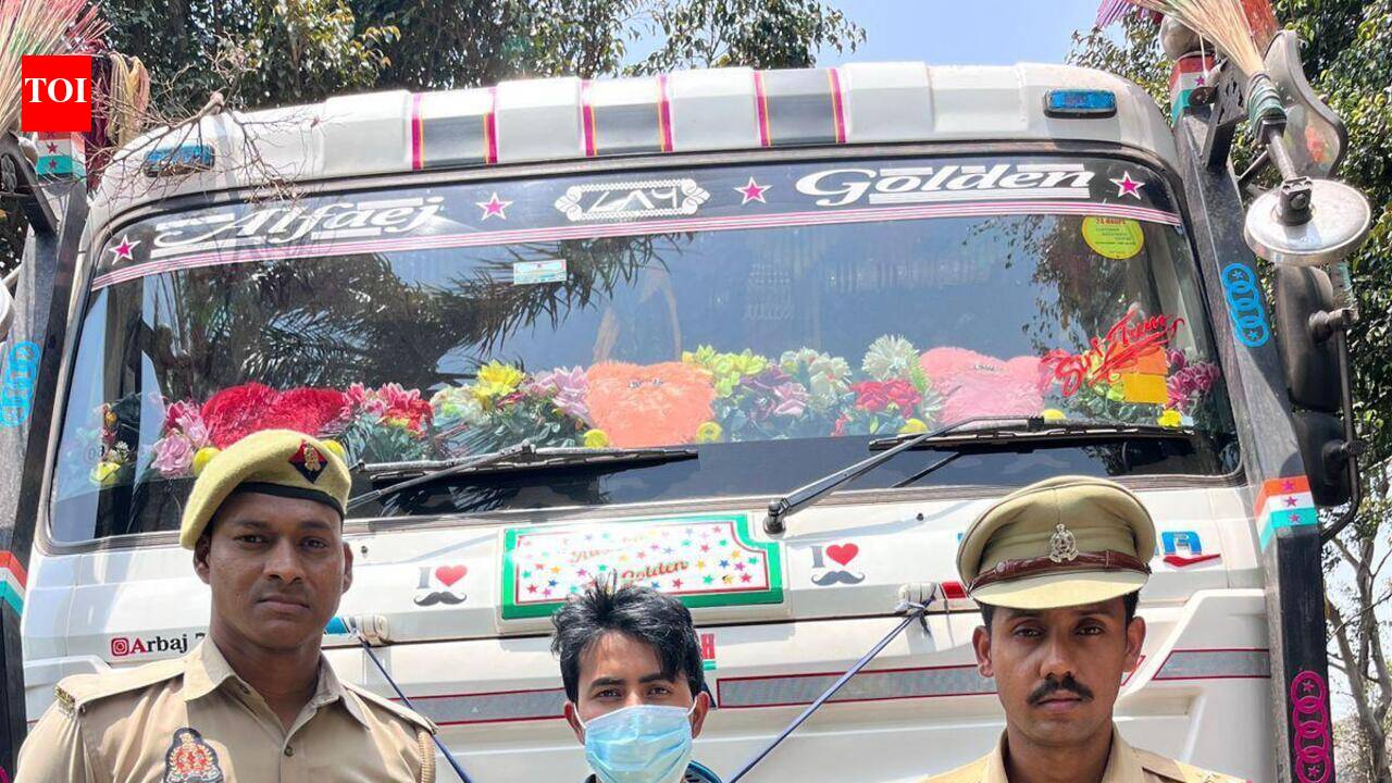 Stones land on Eastern Peripheral Road, dumper driver arrested