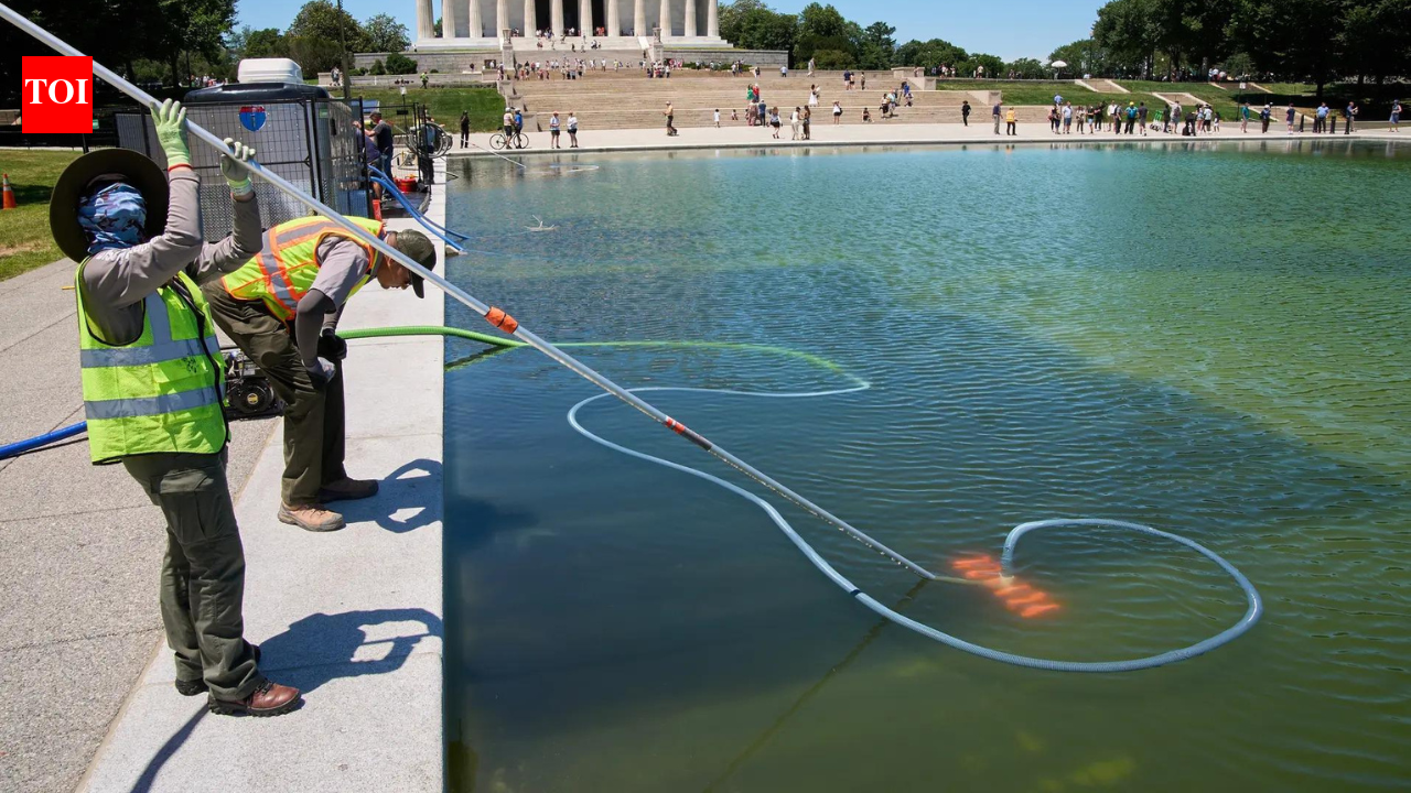 '250-ft gash, poured chemicals': Trump claims vandals damaged Reflecting Pool