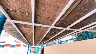 Indian Veterinary Research Institute develops eco-friendly roofing from cow dung to beat heat stress in livestock