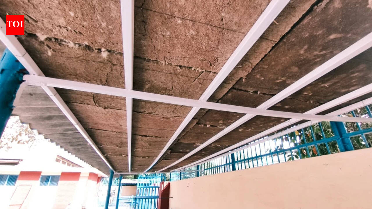 Indian Veterinary Research Institute develops eco-friendly roofing from cow dung to beat heat stress in livestock